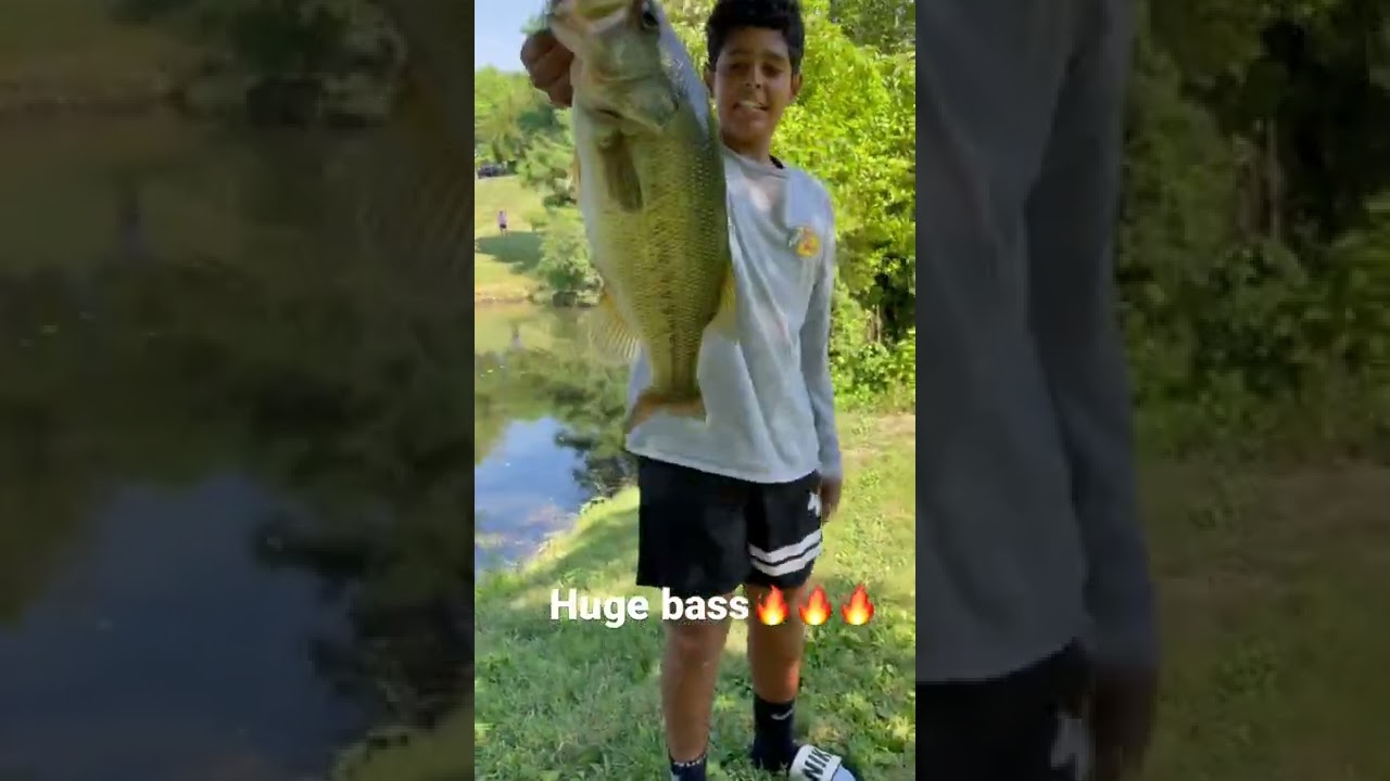 Big bass!  #shorts #bass #fishing #bigbassenergy