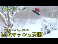 巨大マッシュを飛びまくる!!!