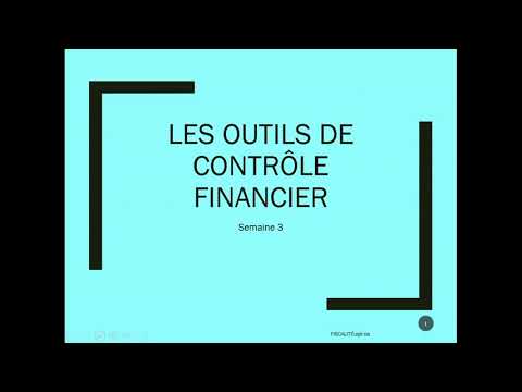 Vidéo: Méthodes De Contrôle Financier