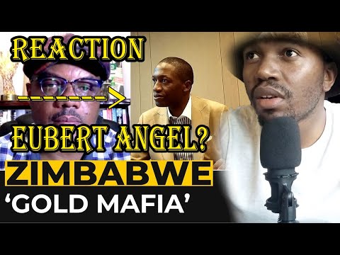 Reaction: Zimbabwe ambassador Uebert Angel involved in gold smuggling scheme AL Jazeera Gold Mafia