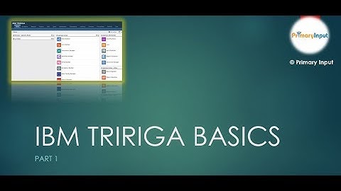 IBM TRIRIGA BASICS
