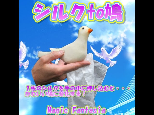 シルクto鳩 - YouTube