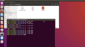 Linux команда cp - копирование файлов и папок на Ubuntu