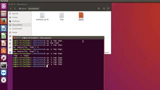 Linux команда cp - копирование файлов и папок на Ubuntu