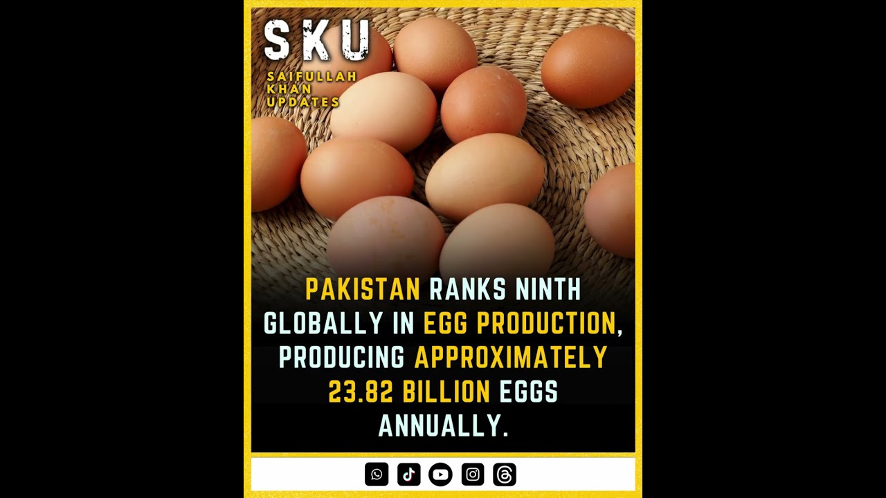 Pakistan ranks ninth globally in egg production, producing approximately 23.82 billion eggs annually