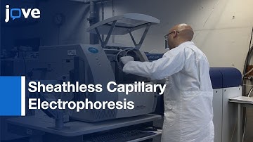Sheathless Capillary Electrophoresis-Mass Spectrometry: Metabolic Profiling (Biological Samples)