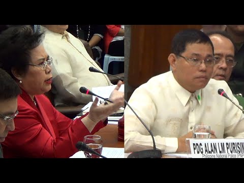 Santiago: SAF 44 could still have been alive had Purisima not meddled