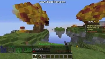 Mineplex hacker report 10