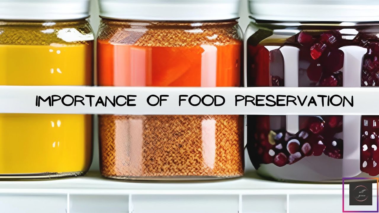 Importance Of Food Preservation YouTube importance-of-food-preservation-youtube