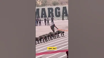 تدريبات البيشمركة 