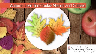 Autumn Leaf Trio Cookie Stencils and Cutters | Confection Couture