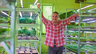 Microgreen Farm - A Wise Start