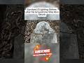 People Who Survived The Unsurvivable thing's#shorts #shortsfeed