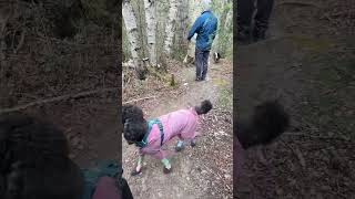拉着房车带着家人看加拿大风景