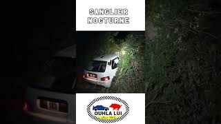 Sanglier nocturne Rallye du Bas Vivarais 2023