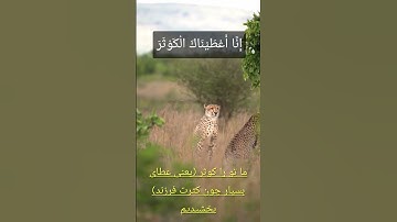 ✨ سورة الكوثر • Surah Al-Kawthar • سوره کوثر | Nature Quran