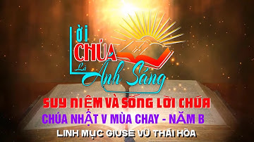 Chúa nhật V Mùa Chay – Năm B – Lm. Giuse Vũ Thái Hòa