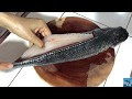 IC1 | Phi lê cá Lóc / How to fillet a fish (snakehead) ???