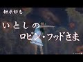 榊原郁恵   いとしのロビンフッドさま   歌唱はtreasure🎶です。応援をお願いいたします。🍀