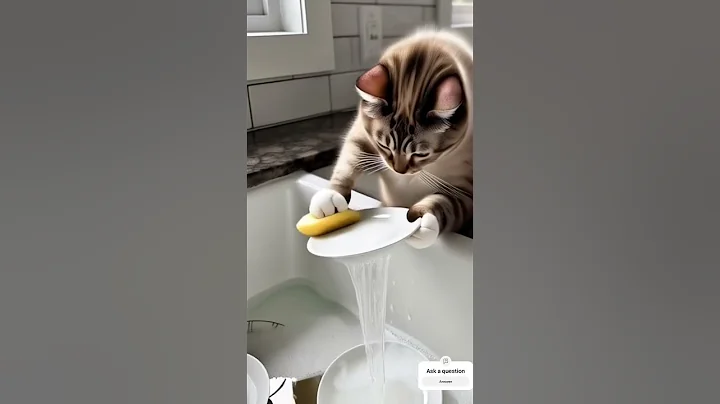 Watch the video about My cat is busy today in washing the dishes 😂😝 #viralshorts #cats #trending #funny #shorts