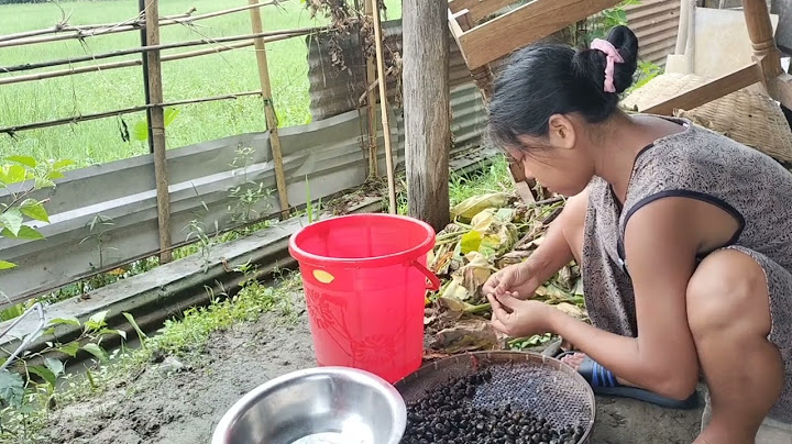 Snail fry|short snail