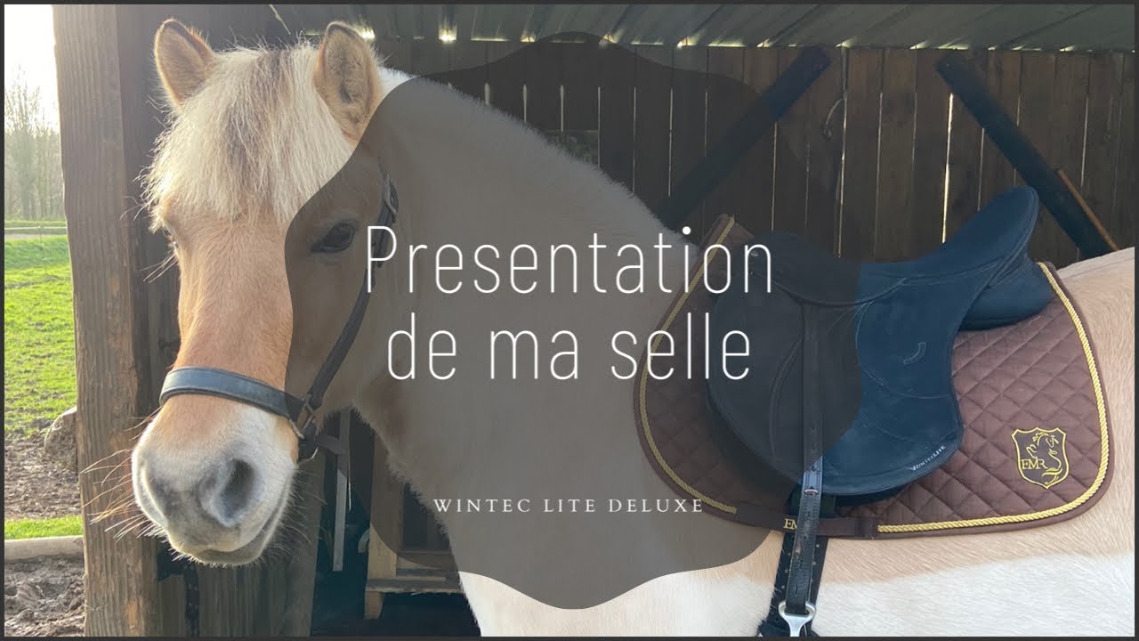 PRÉSENTATION DE MA SELLE - Wintec Lite Deluxe - YouTube