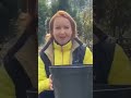 🪴 Посадка тюльпанов в кашпо