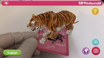 4D Flashcards - AR for learning
