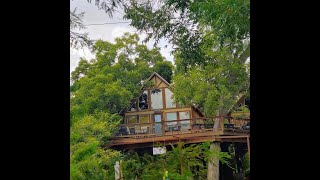Escape the urban jungle and discover nature's hidden sanctuary at Geronimo Creek Retreat! 🌿