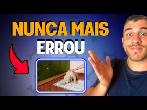 Vídeo: 3 maneiras de se livrar do cheiro de urina de gato