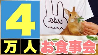チャンネル登録4万人を記念してお食事会を開催 #792