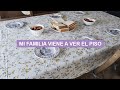 Compras deco para recibir a mi familia 🥰 | Pati Petite