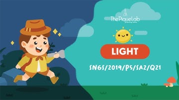 EXAMINATION PAPER SERIES | 2019 SNGS P5 SA2 | Question 21 | Light 🔦