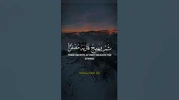 اعلموا أنما الحياة الدنيا لعب ولهو وزينة وتفاخر بينكم // ما تيسر من #سورة_الحديد - الآية 20 🎧🎧