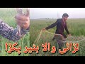 Waha kiya bataira pakrdabatair hunting  by desi mahool tv
