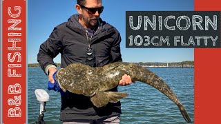 Monster 1m flathead and mulloway on epic Forster trip