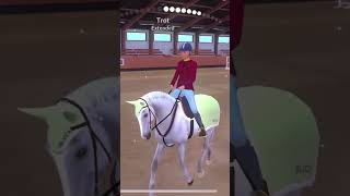 Download Lagu So sorry for being so inactive!! I love you all sm 🫶🏼 // meet my new grey! His name is James 💓 MP3