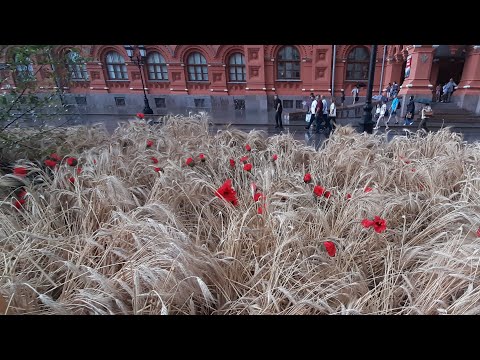 Прогулки по Москве. Фестиваль Цветочный джем на Площади Революции