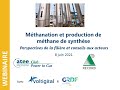 Atee  mthanation et production de mthane de synthse  conseils aux acteurs et perspectives