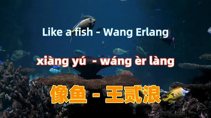 像鱼 - 王贰浪.xiang yu.Like a fish - Wang Erlang.Chinese songs lyrics with Pinyin. - DayDayNews