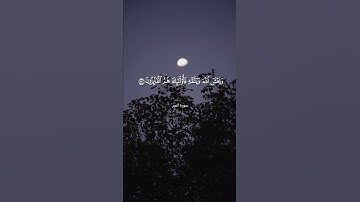 القارئ مختار الحاج #quran