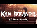 Kan Irandil | Naresh Iyer | Vijay Antony | Dhanush | Genelia | Slowed Reverb | Lyrics video