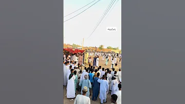 هيثم زمراوي يا قلبي شن هداك تريدا 