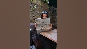 Good people-watching. Great design. Fossil Diner buzzing.