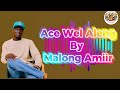 Ace Wel Aleng By Malong Amiir 2026 New Song 