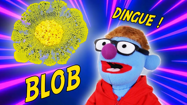 Le BLOB : le machin vivant le plus dingue ! - Norbert Explique Nous