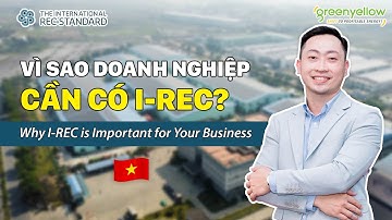 Vì Sao Doanh Nghiệp nên có Chứng Chỉ Năng Lượng Tái Tạo I-REC? Why I-REC is Important for You