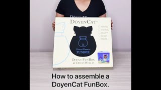 DoyenWorld DoyenCat FunBox Assembly Instructions