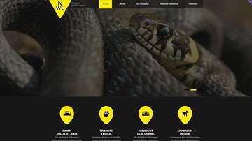 Wild Life Responsive Website Template by WT - 53943