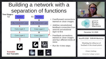 Modeling the influence of feedback in the visual system